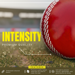 Cricket ball Windball Windmaster Red